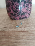 Puces d'oreilles en Aigue-marine