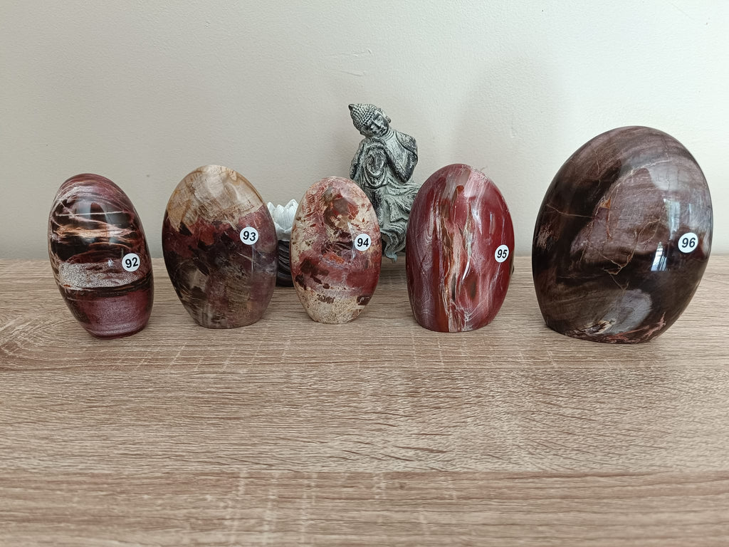 Formes libres en Bois fossile