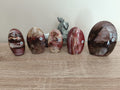 Formes libres en Bois fossile