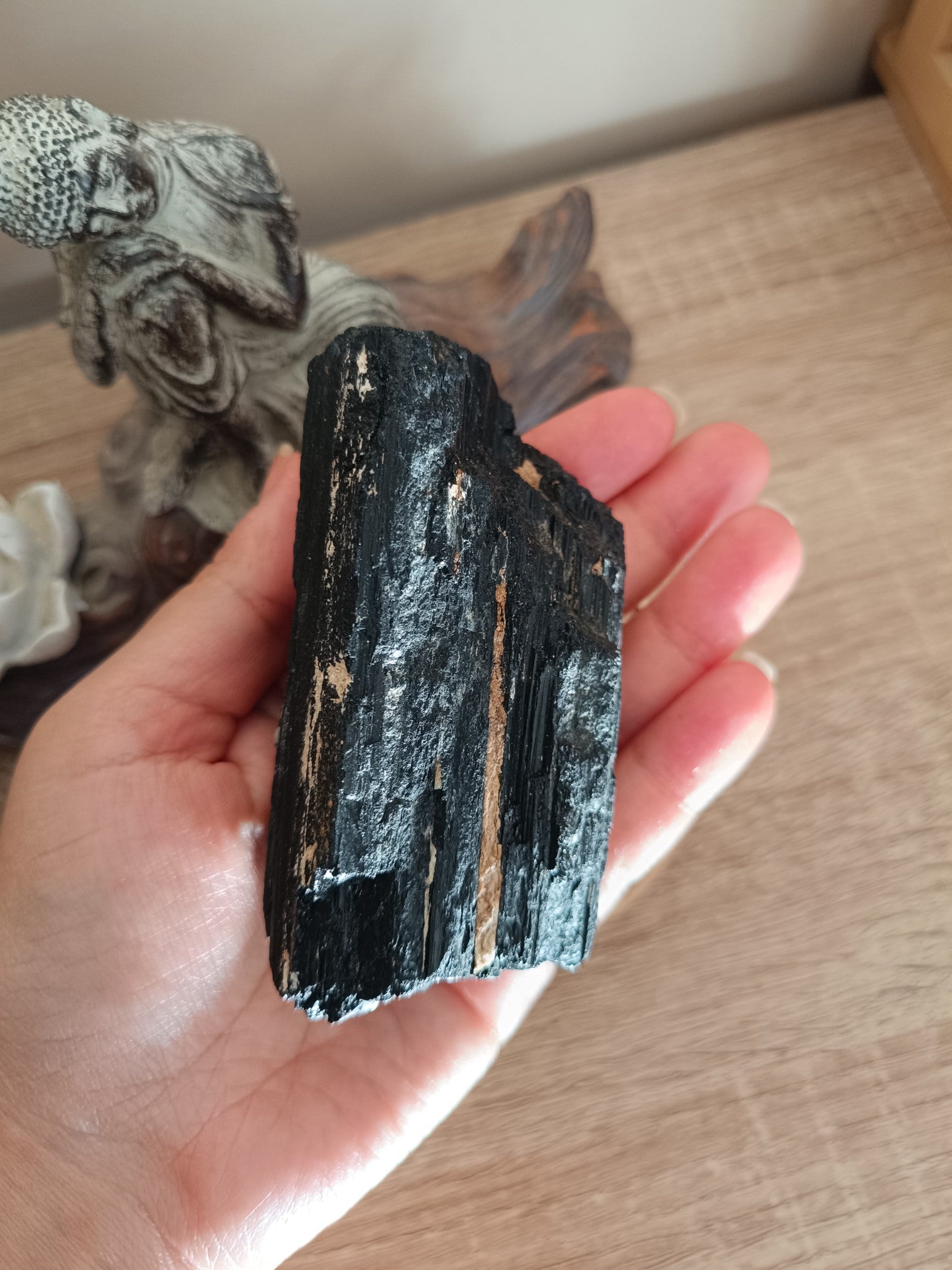 Pierre brute Tourmaline noire